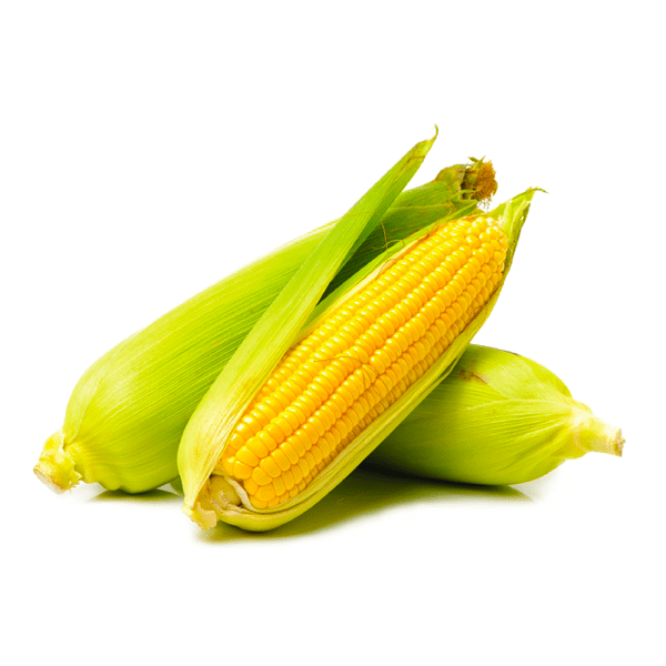 Hạt Giống Ngô Ngọt Vàng Thái Lan (30/gói )