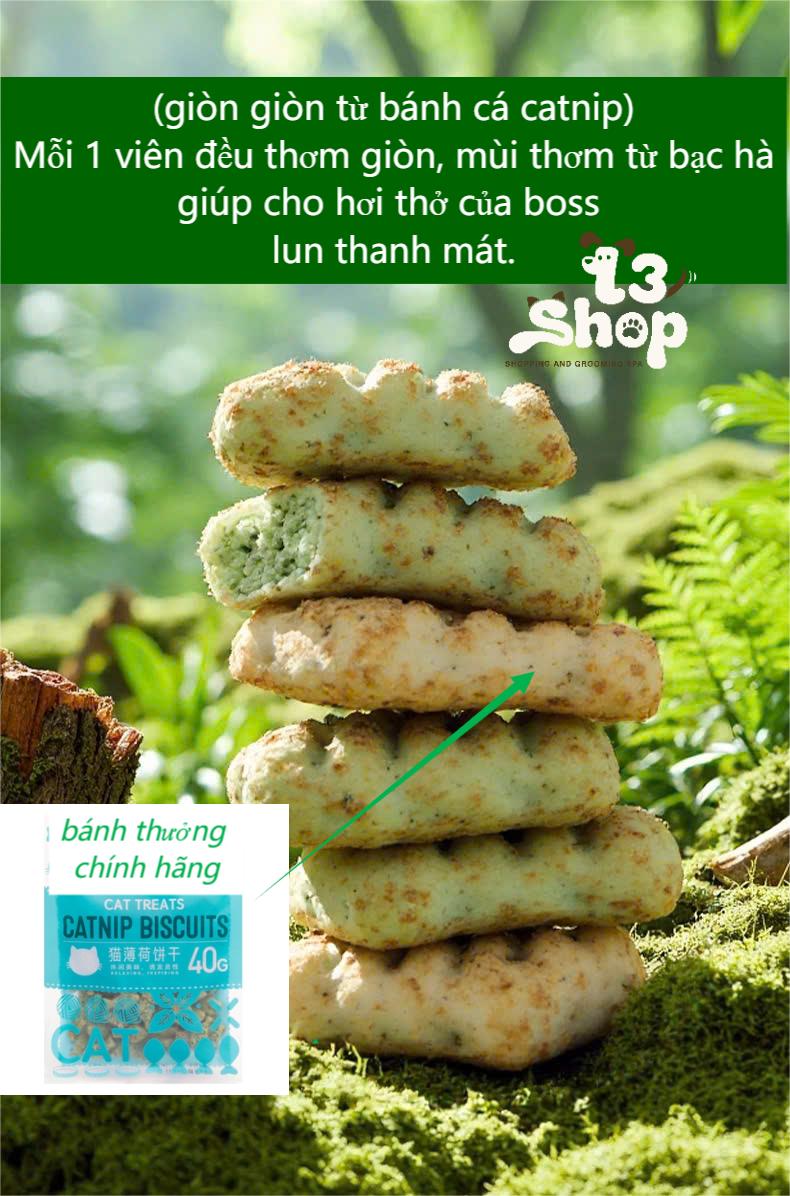 bánh cỏ catnip hình con cá 40gr dành cho mèo - T3 PETS SHOP