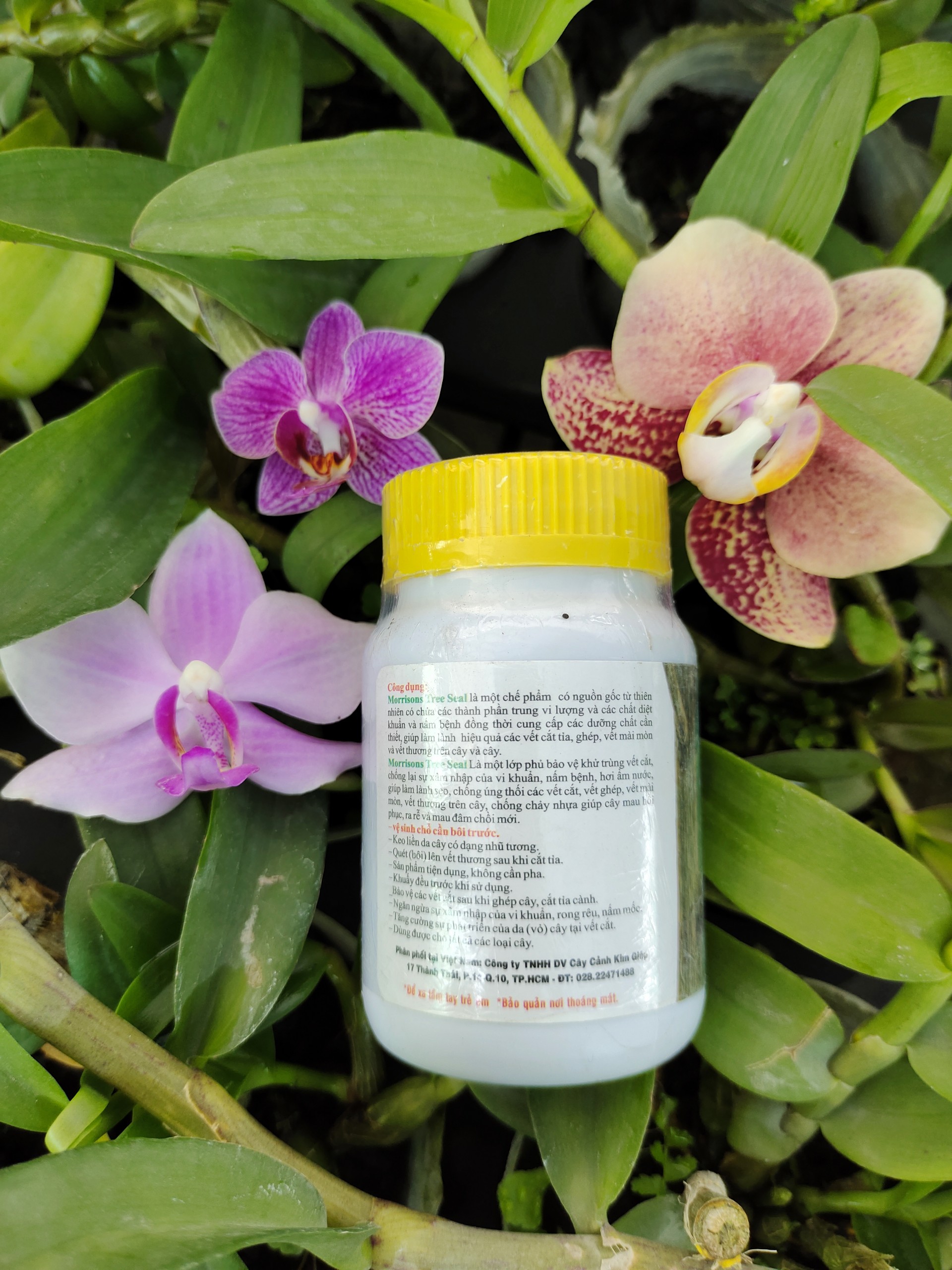Keo Liền Da Cây Tree Seal - Keo Liền Sẹo Mỹ