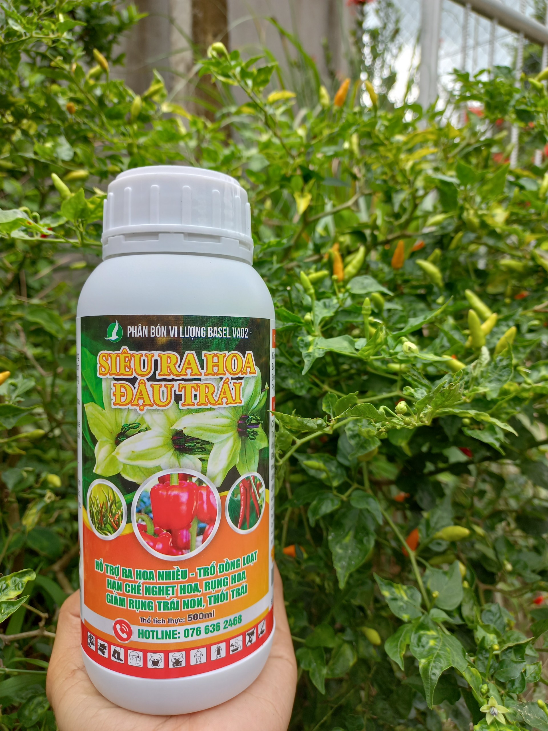 SIÊU RA HOA ĐẬU TRÁI CHUYÊN ỚT - 500ML. PHÂN BÓN LÁ