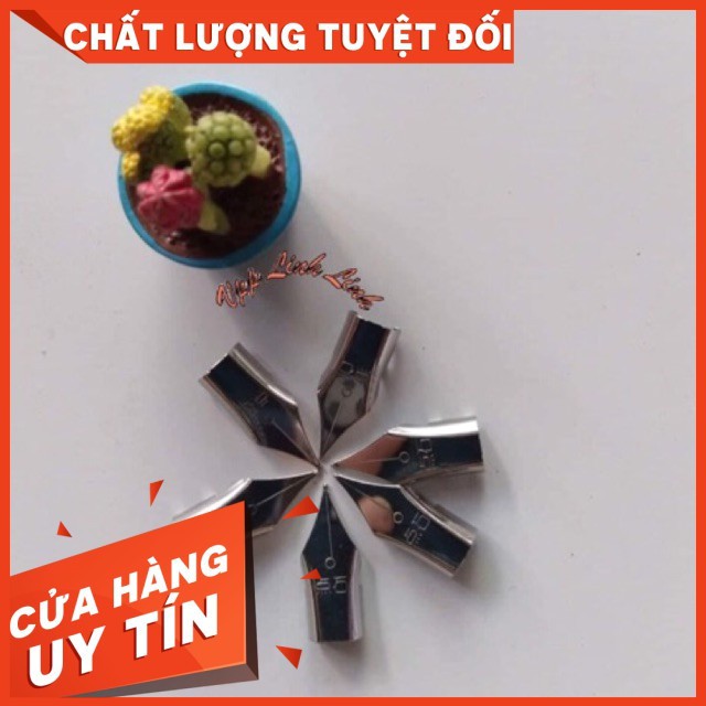 1 cái ngòi bút máy ngòi ef