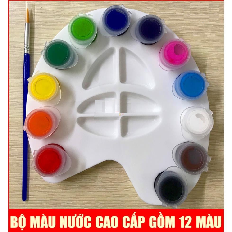 Màu Nước Con Công 12 Màu WinQ W-02 [TẶNG KÈM CÂY CỌ]