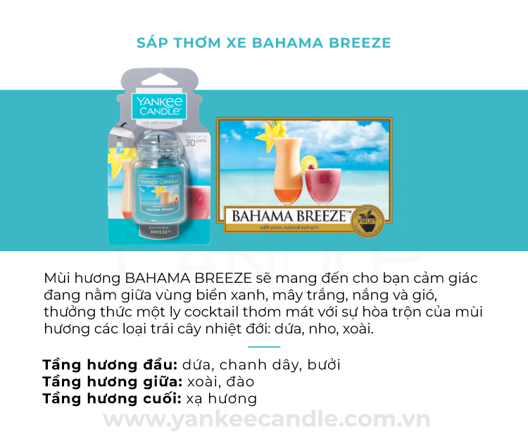 Sáp thơm xe Yankee Candle - Bahama Breeze