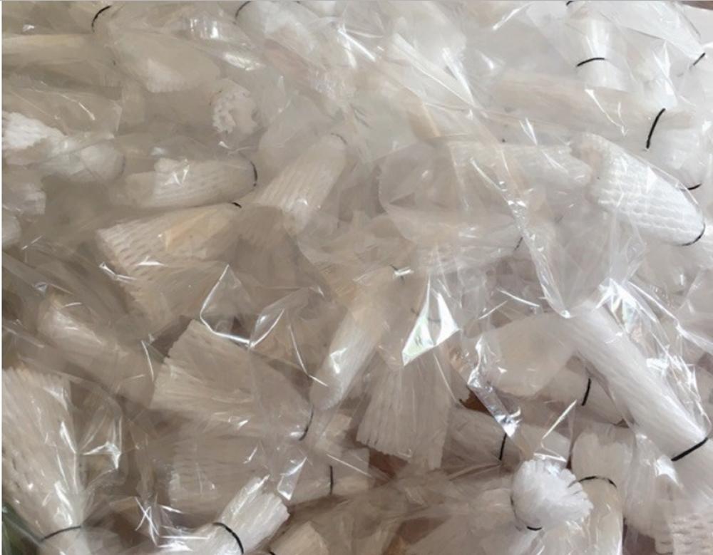 1 kg Túi bọc ổi lồng sẵn