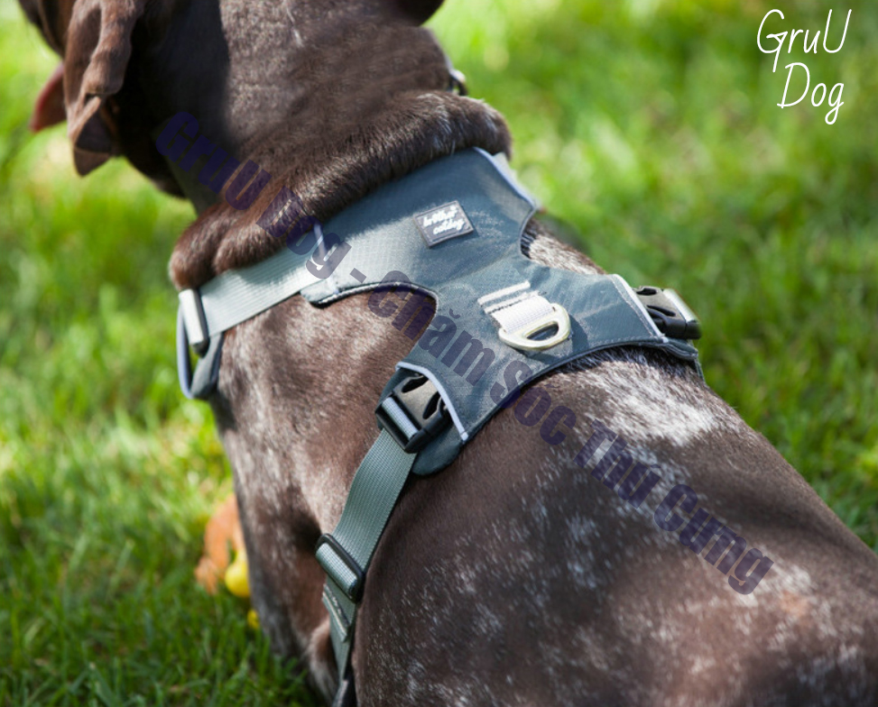 Đai Yếm dắt chó đi dạo GruU Dog cao cấp