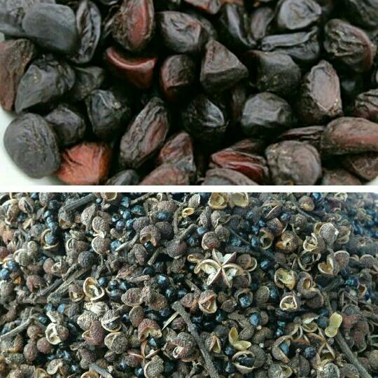 combo 50g hạt dổi và 500g mắc khén