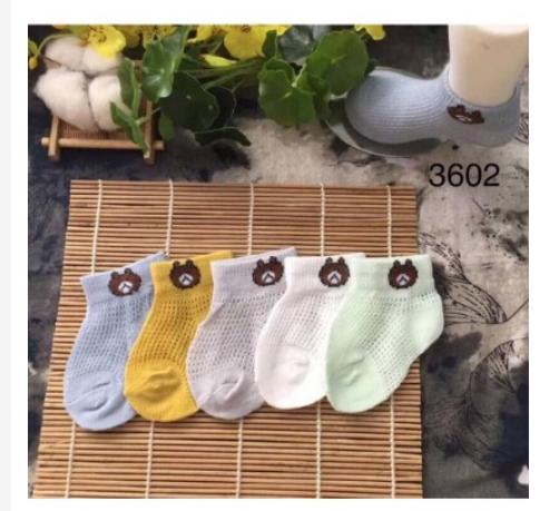 Sét 5 đôi tất lưới hình gấu cho bé trai/bé gái