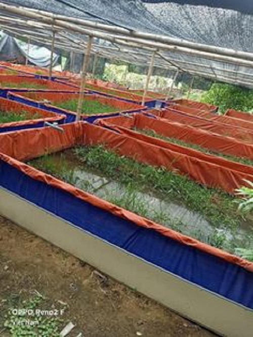Bể bạt bơi trẻ em