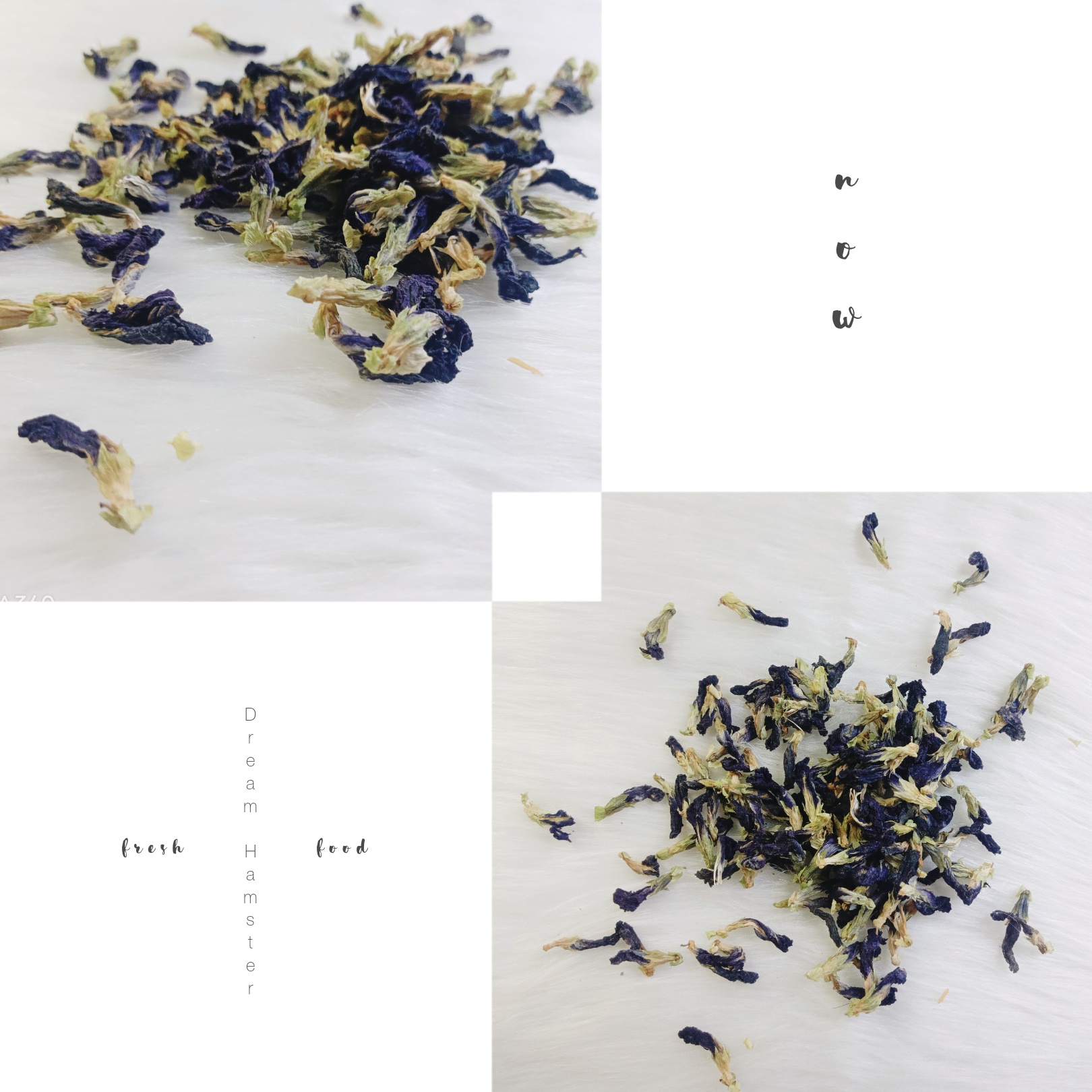 Hoa đậu biếc khô cho Hamster (20gr)