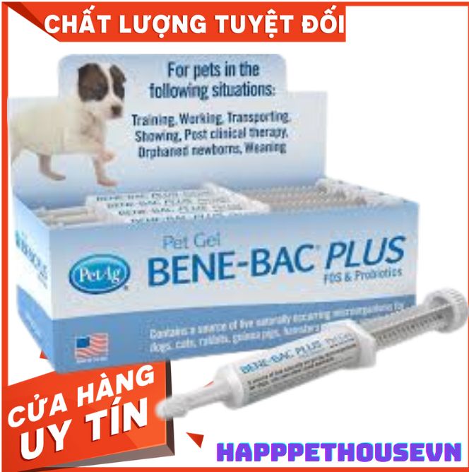 [Ống 15Gr] Men hỗ trợ đường ruột, tiêu hóa Bene Bạc Plus