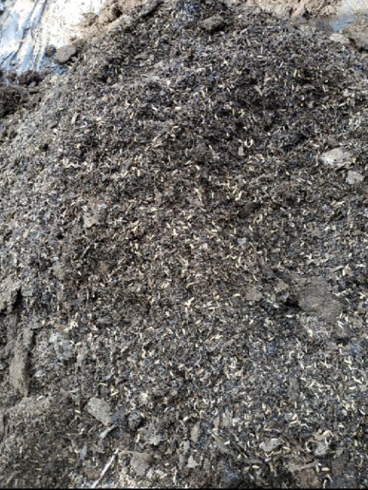 Đất phân trồng cây cảnh hoa kiểng 1 kg