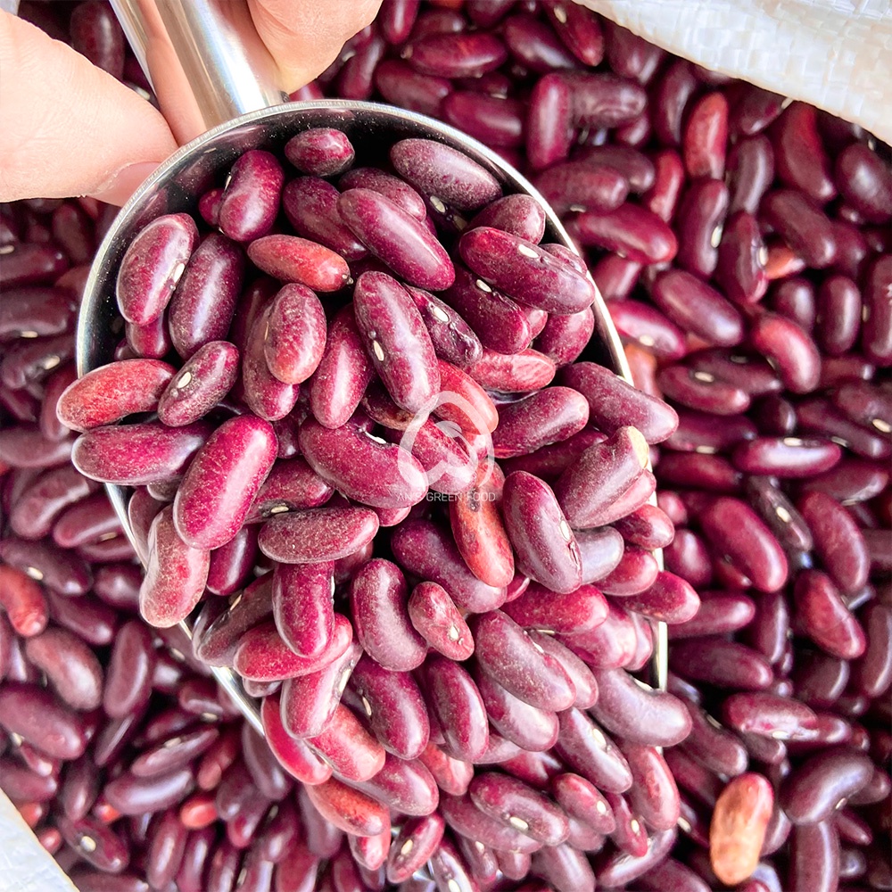 Đậu Đỏ Tây - Đậu Đỏ Hữu Cơ Hạt To