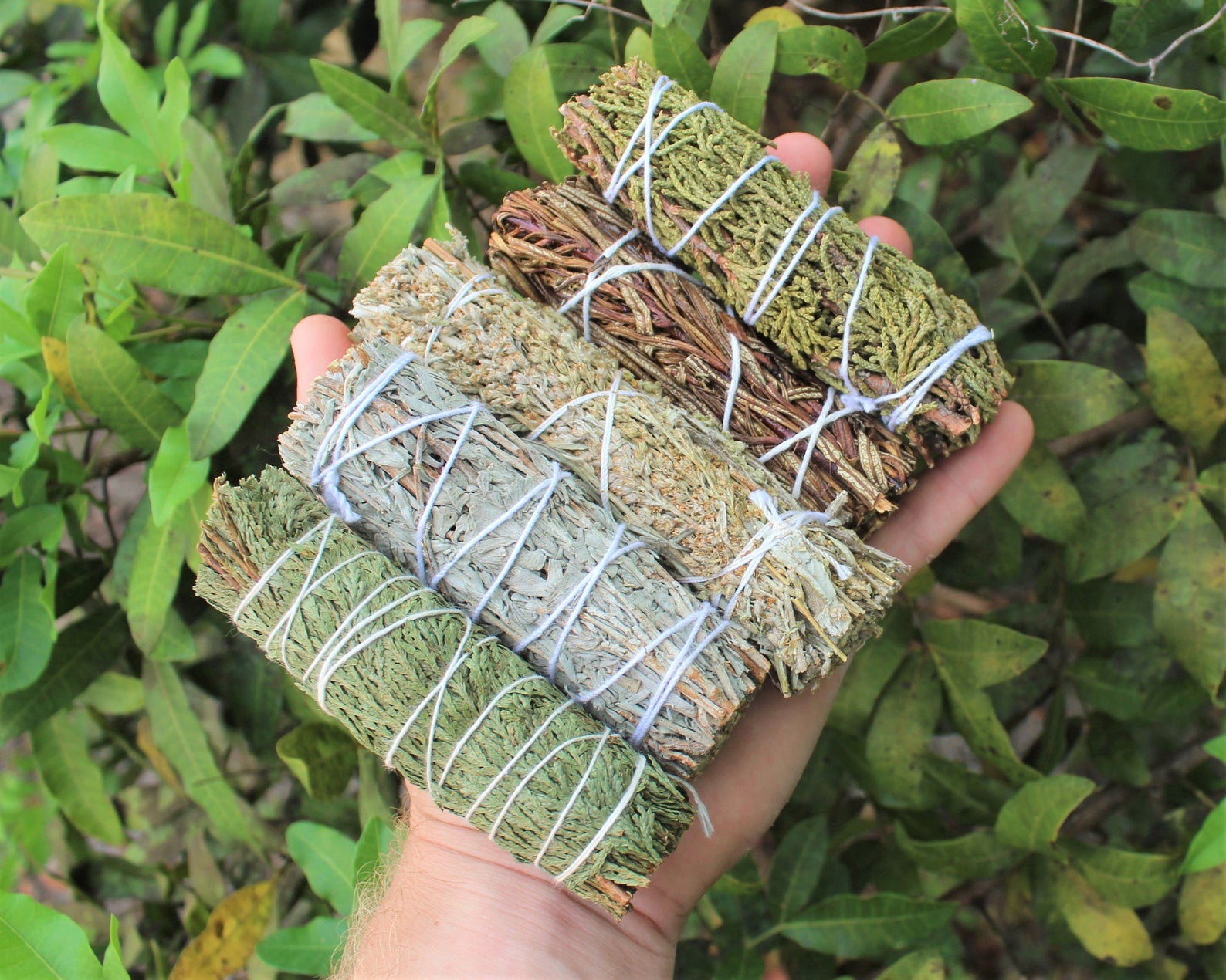 XÔ THƠM THANH TẨY_Thảo Mộc Xông Nhà