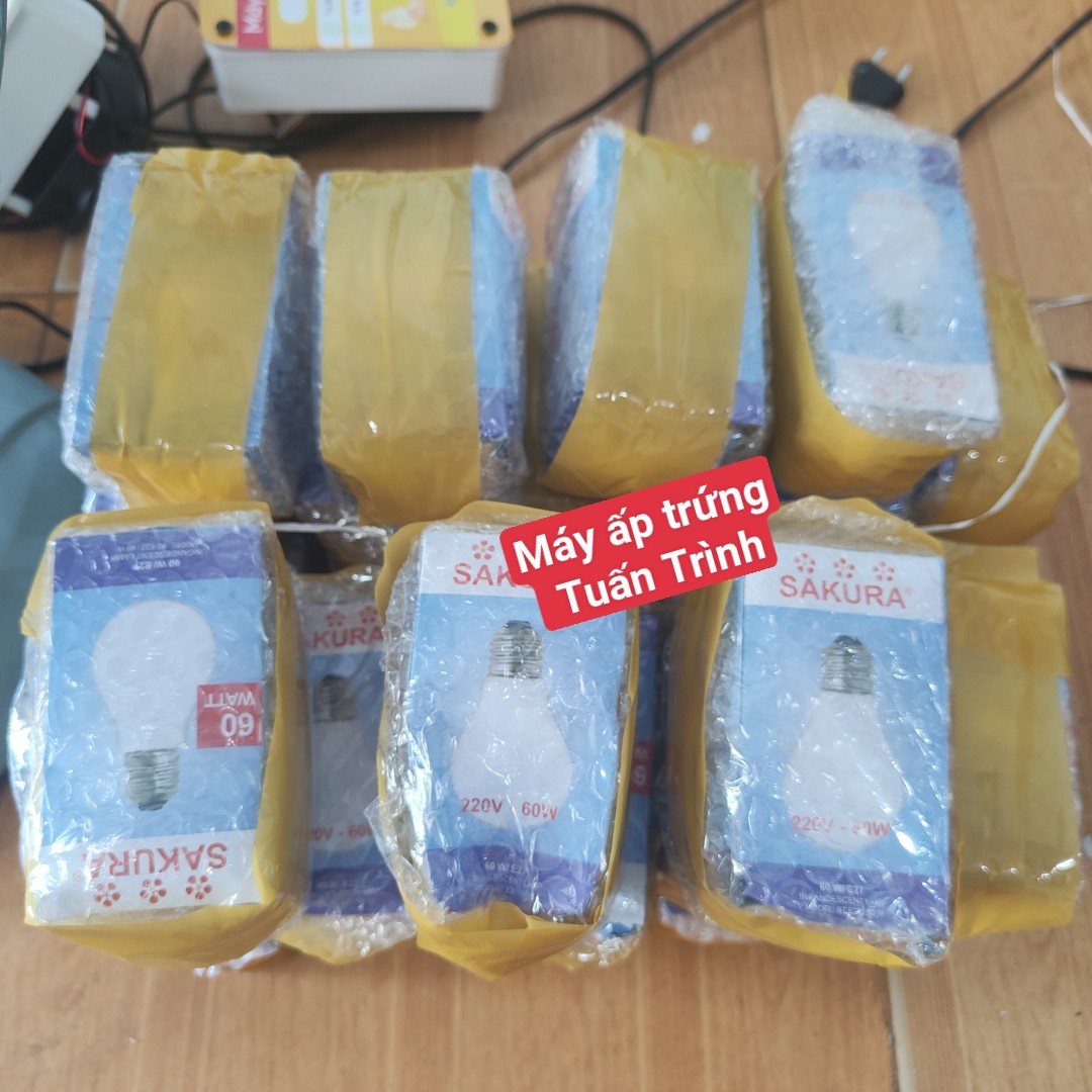 Bóng đèn sợi đốt 60W