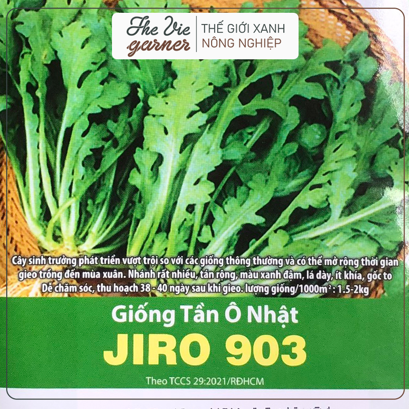 Hạt giống RẠNG ĐÔNG - Rau tần ô - 3 loại