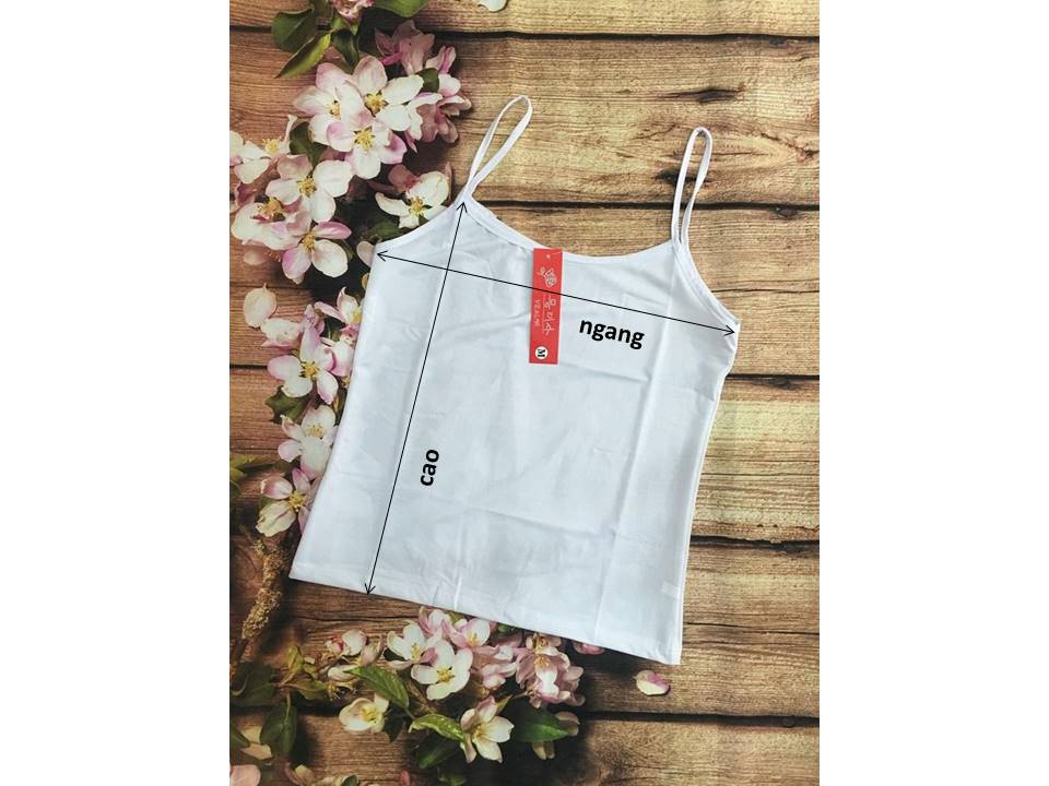 Áo Lá Thun Lạnh Nhiều Size 257 (M–5XL) – Mát Lạnh, Co Giãn 4 Chiều, Phù Hợp Mọi Vóc Dáng