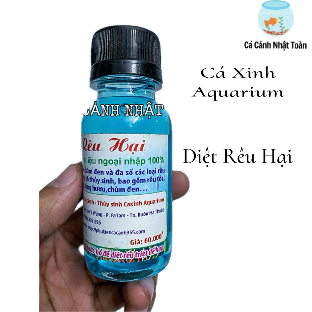 "Hoàn tiền đến 10%" THUỐC DIỆT RÊU HẠI CÁ XINH AQUARIUM