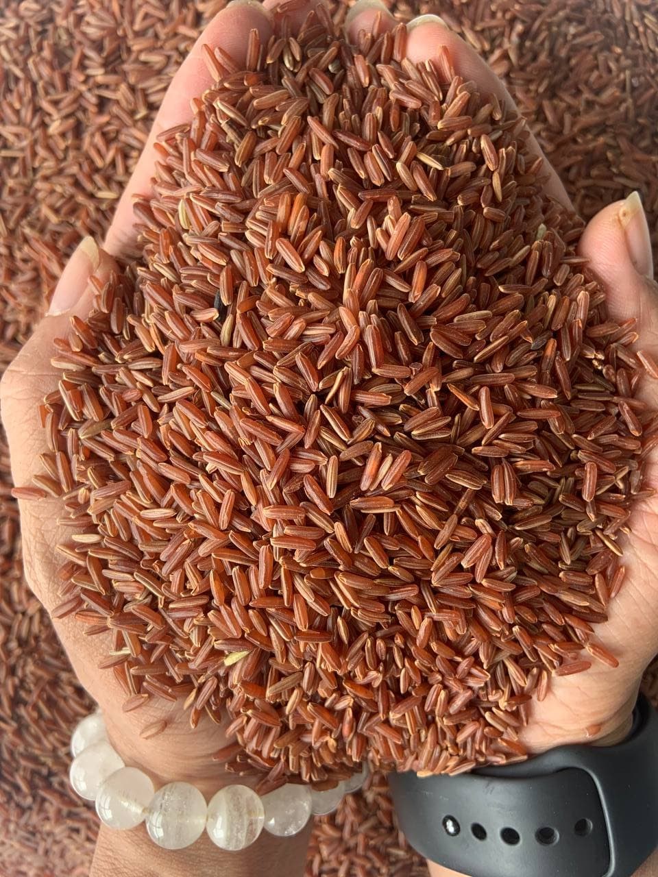 Orsafarm Đặc sản gạo lức huyết rồng (5kg)