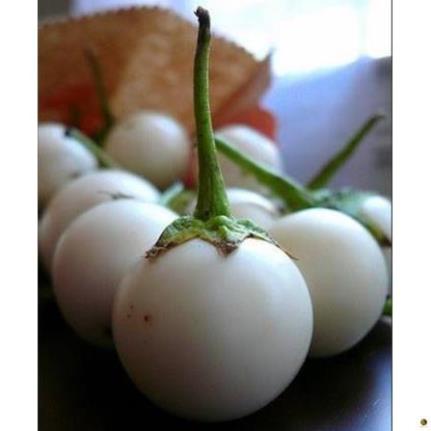 Hạt Giống Cà Pháo Trắng - Gói 1 Gram
