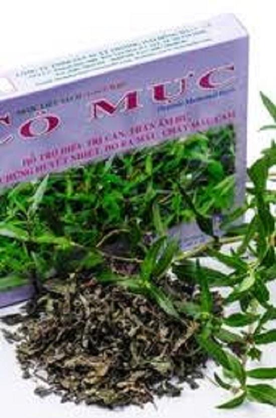 [HCM]Trà cỏ mực hút chân không