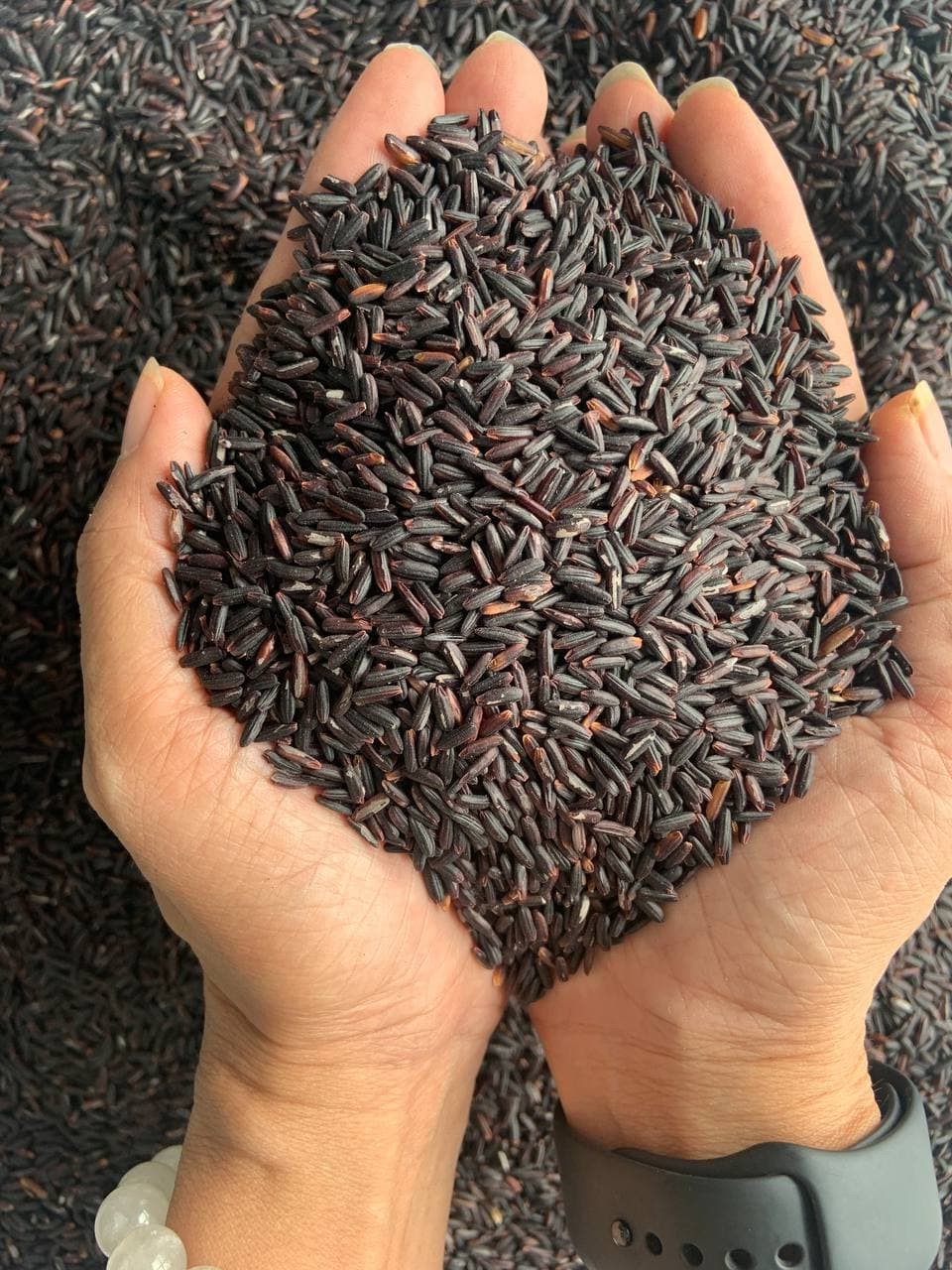 Orsafarm Đặc Sản Gạo Tím Hắc Mễ (5kg)