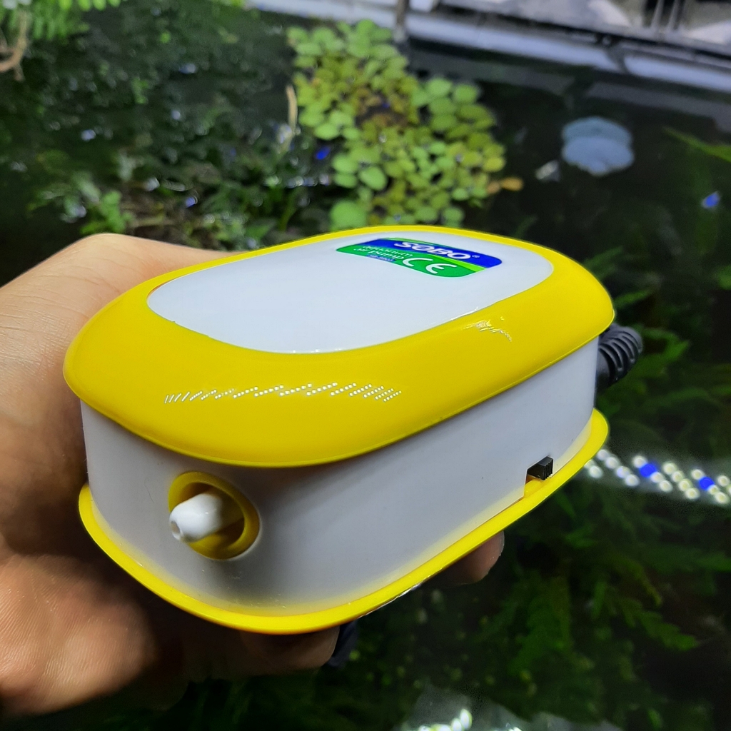 Máy sủi oxy sb 9903 1 vòi của sobo