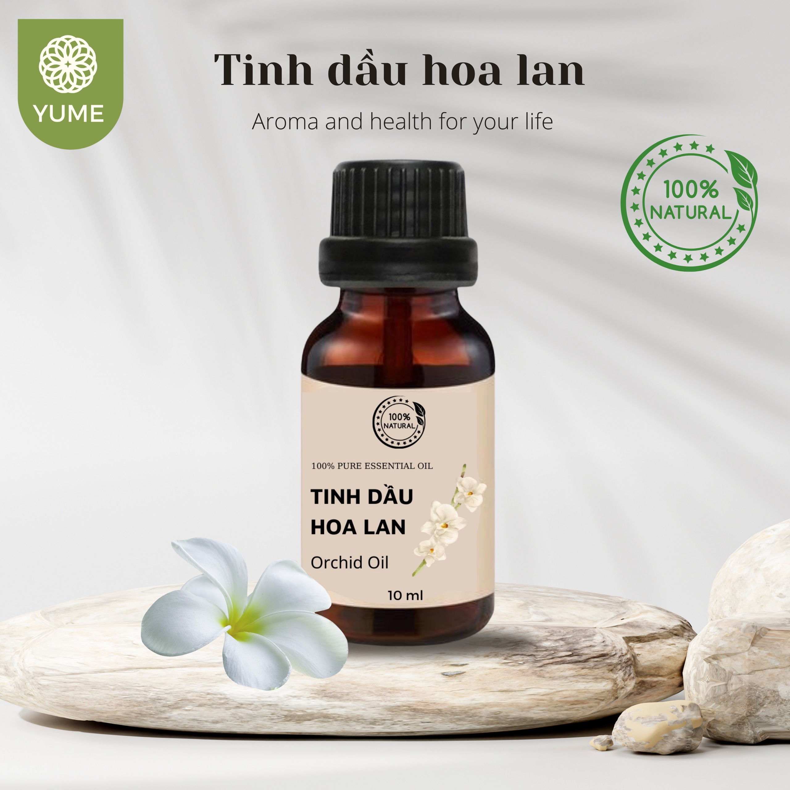 [HCM]Bộ 6 TẶNG1   [ TINH DẦU MÁY XÔNG ]  TINH DẦU THƠM  TINH DẦU CAO CẤP