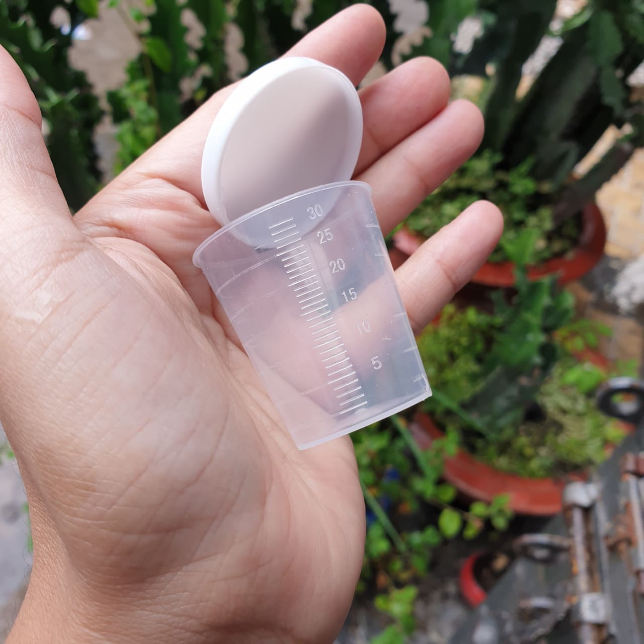Ly đong 30ml / 100ml / cốc đong định lượng