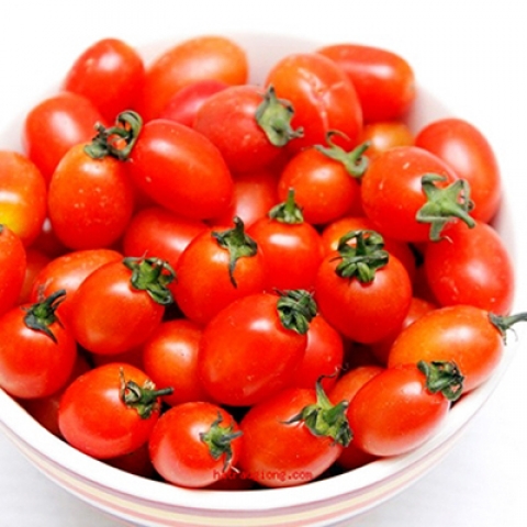 Hạt giống cà chua cherry chịu nhiệt