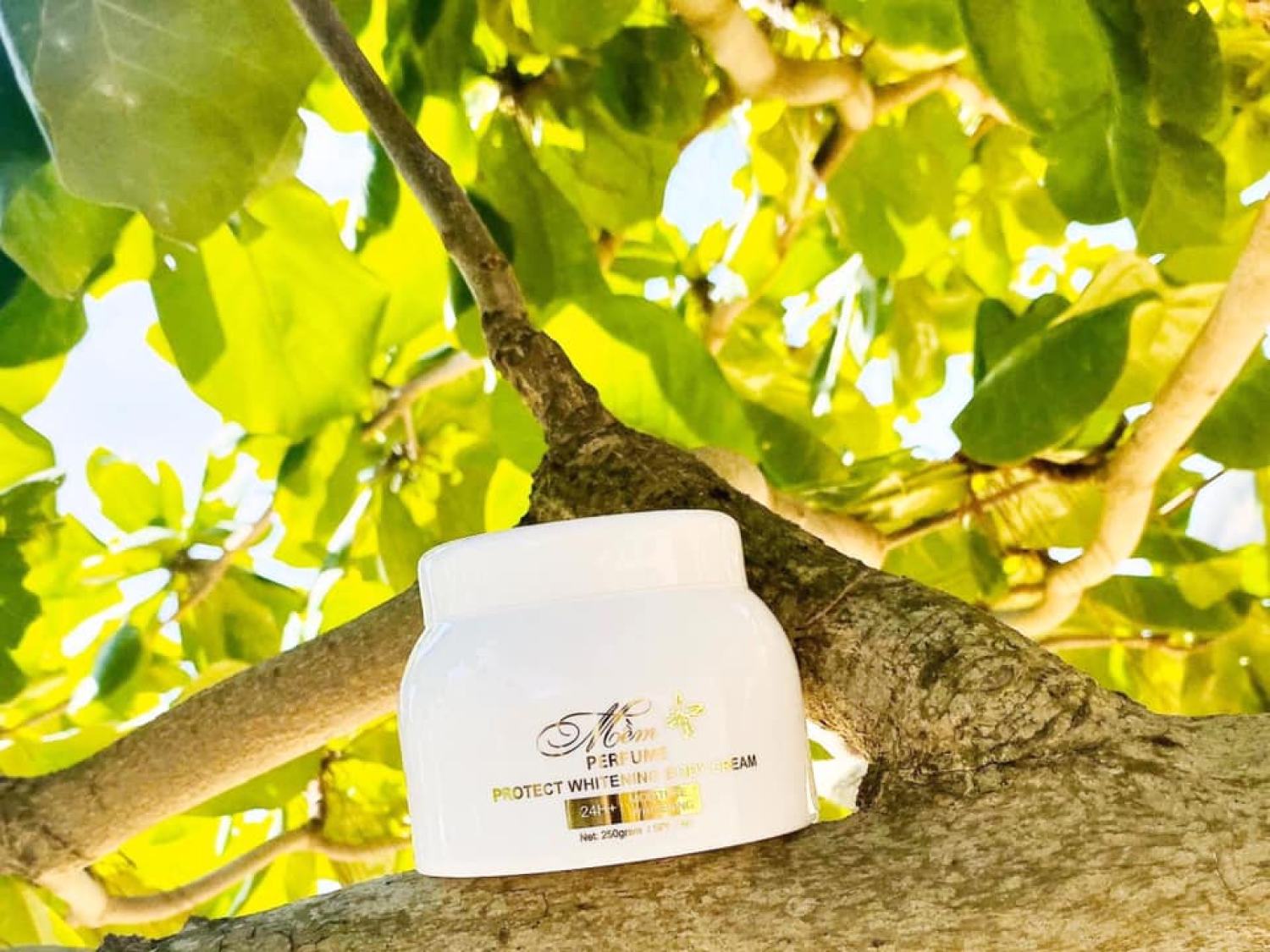[Chính Hãng] Kem body mềm nước hoa 2020 A cosmetic