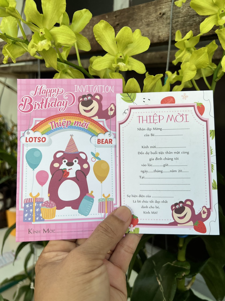Combo 30 thiệp sinh nhật Gấu Dâu Lotso