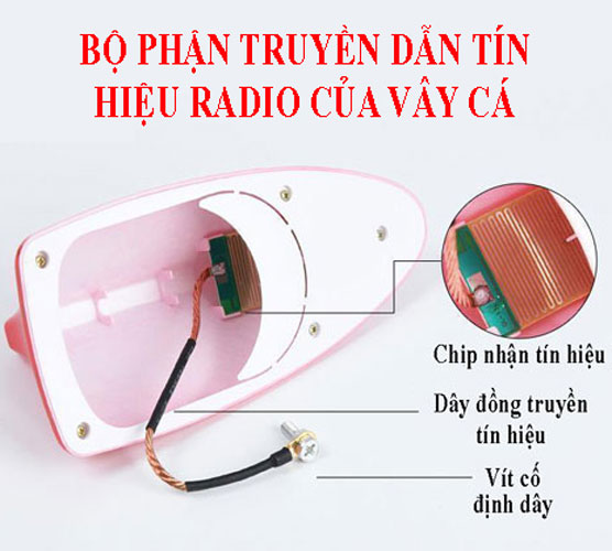 Ăng ten vây cá gắn trên ô tô