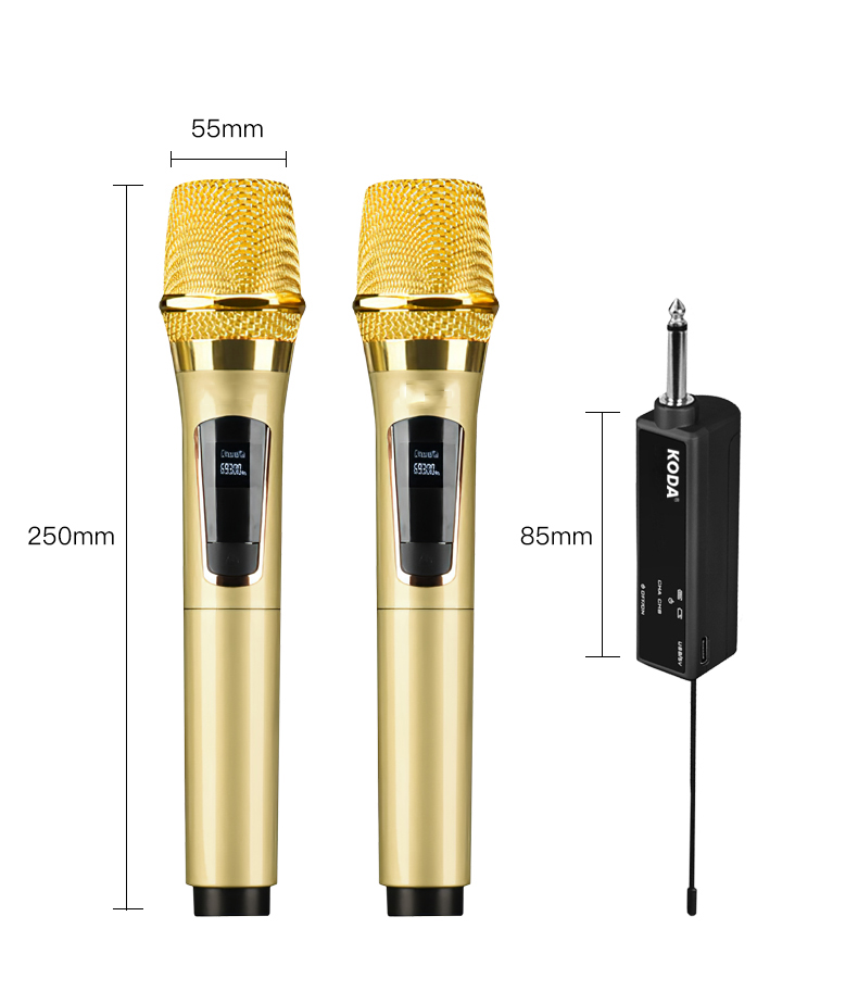 BỘ MICRO KHÔNG DÂY SUNRISE SM-2.2 LOẠI 2 MICRO