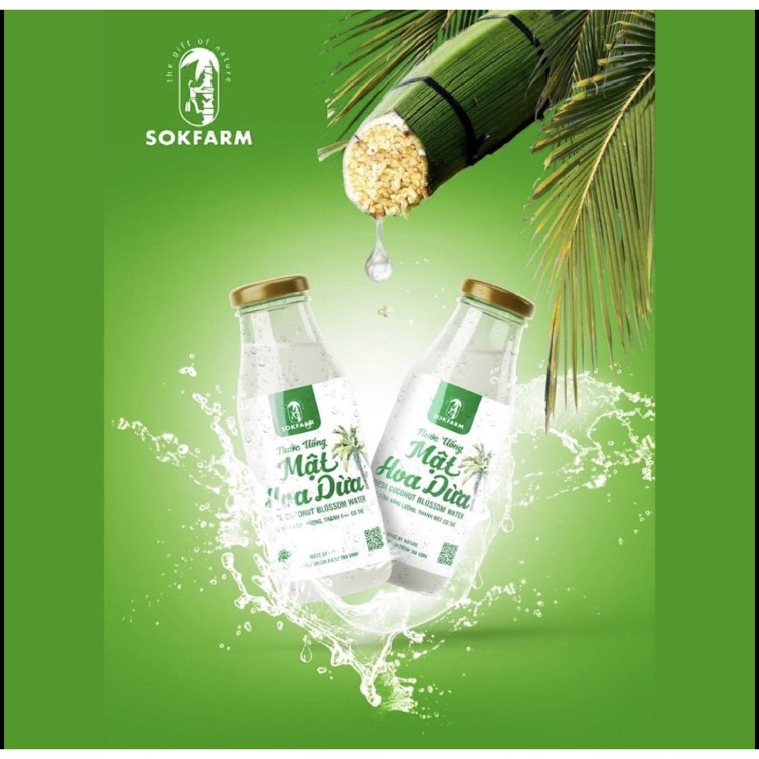 Nước uống mật hoa dừa Sokafarm