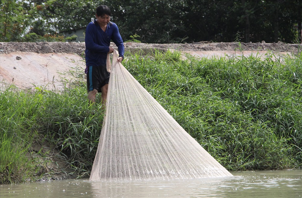 [CHÀI CÁ] CHÀI DÙ TRẮNG - CHÂN XÍCH LỖ ( 3 KG - 3.4 KG)
