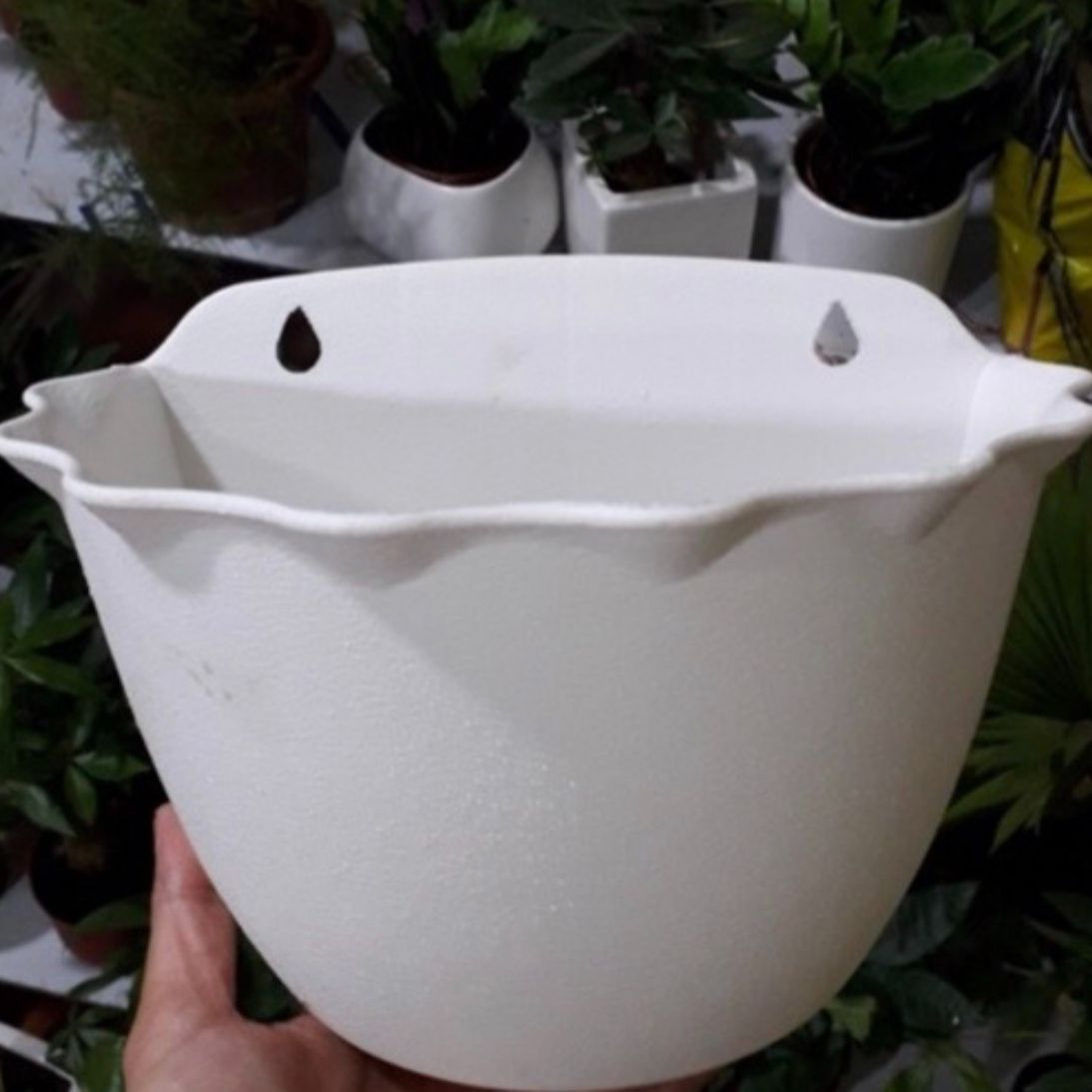 Chậu Nhựa Ốp Bèo Tường