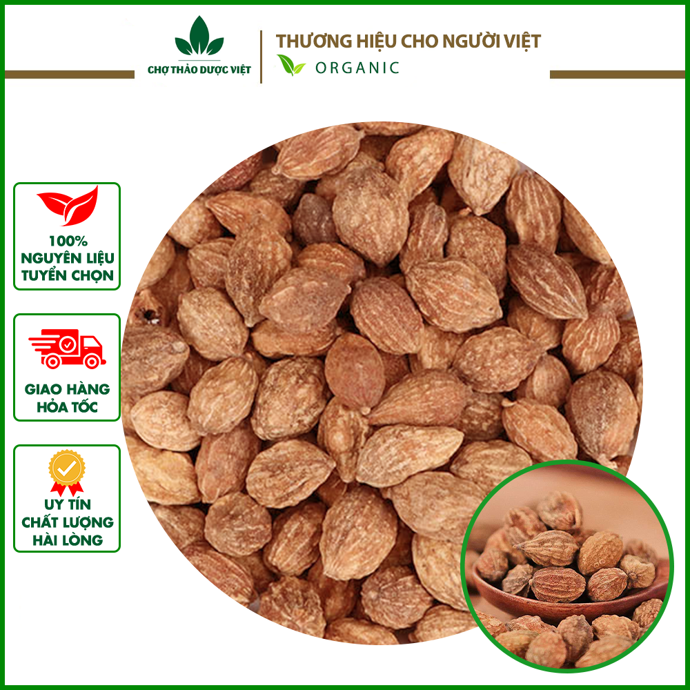 1kg ích trí nhân