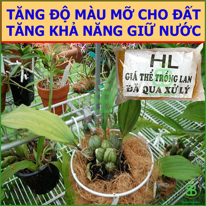 Xơ Dừa Sợi - Giá Thể Trồng Lan