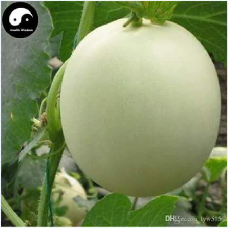 Hạt giống dưa lê bạch tuyết -  gói 20 hạt