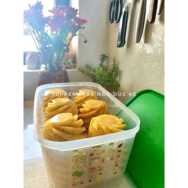 Hộp trữ mát Vensmart 4.4L Tupperware