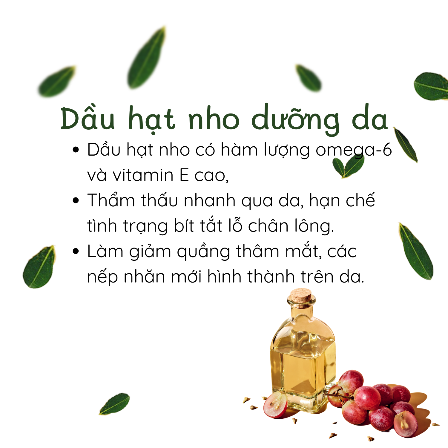 Dầu Hạt Nho Purevess - Dầu dưỡng tóc - Dầu dưỡng body. Dung tích: 10ml