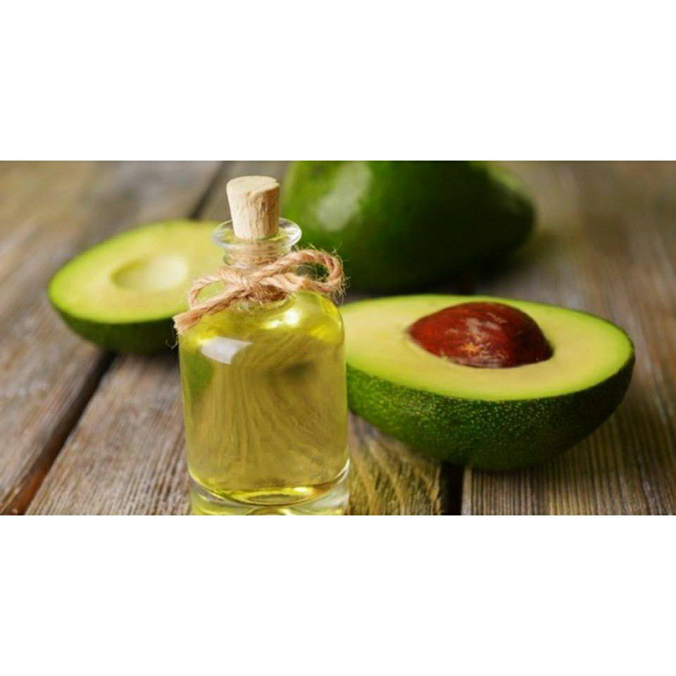 Cây giống bơ sáp daklak