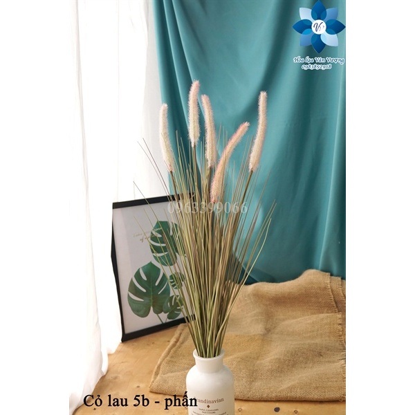 Hoa Giả - Cây Cỏ Lau Cành 5 Bông