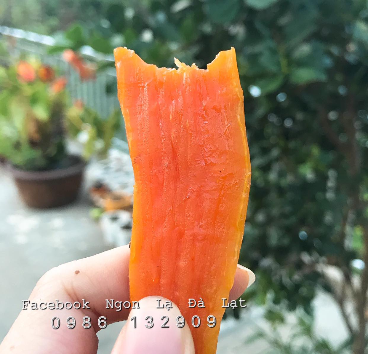 Khoai lang mật sấy dẻo, Đặc Sản Ngon Lạ Đà Lạt
