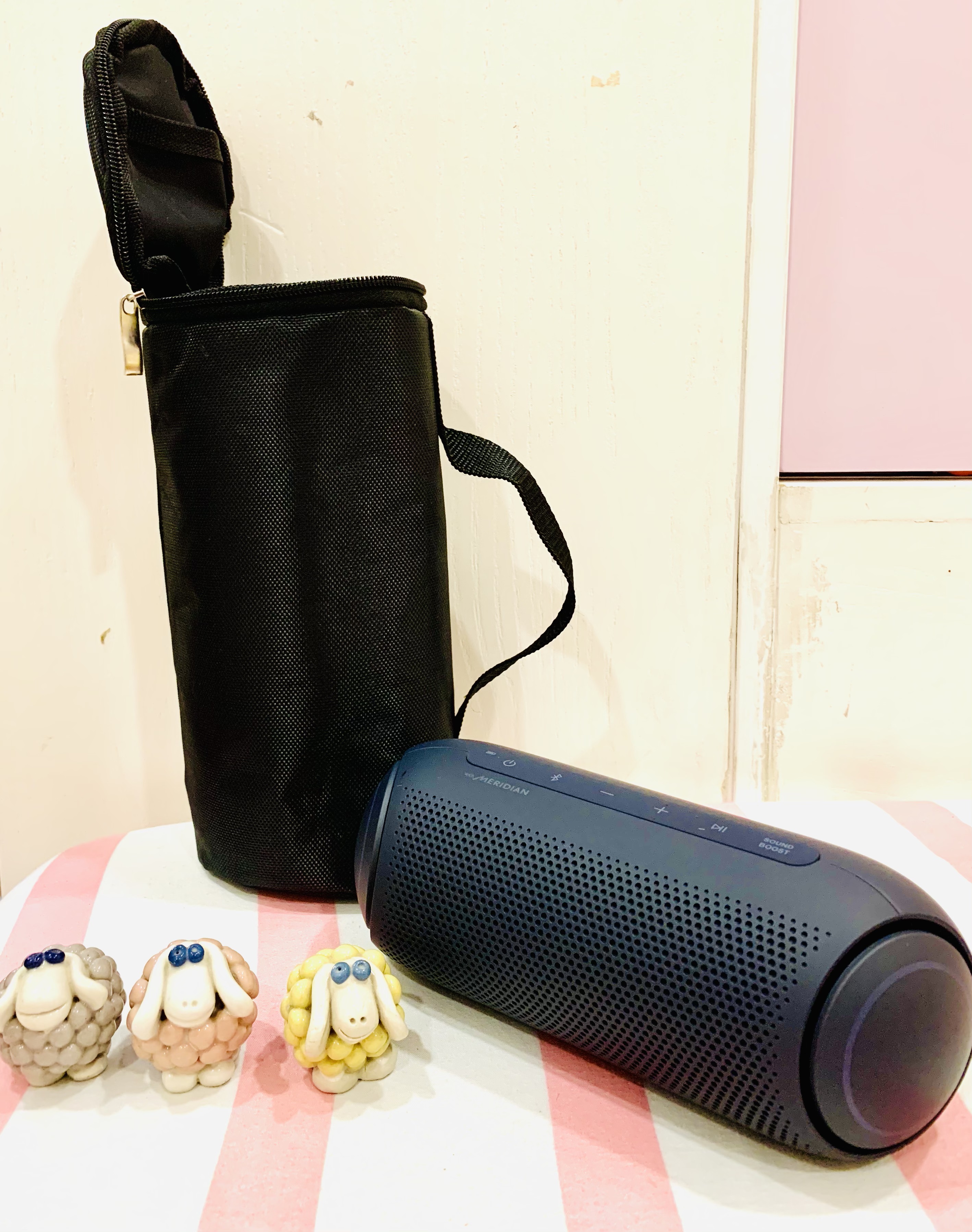Túi đựng loa LG Xboom PL5