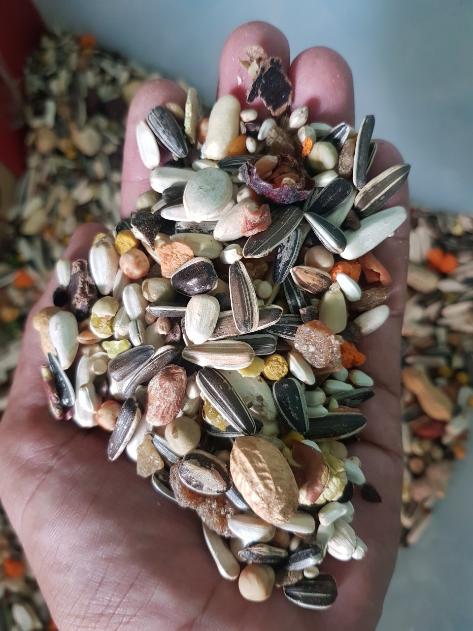 Hạt mix cho vẹt lớn đóng gói 500g - 1kg