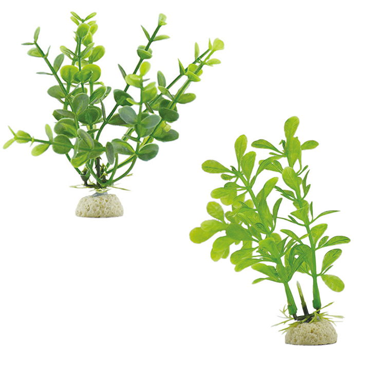 [FREESHIP + ÁP MÃ GIẢM 10%] Cây Cỏ Nhựa Thủy Sinh Mini, Cây Nhựa Cỡ Nhỏ Trang Trí Bể Cá Nhiều Mẫu
