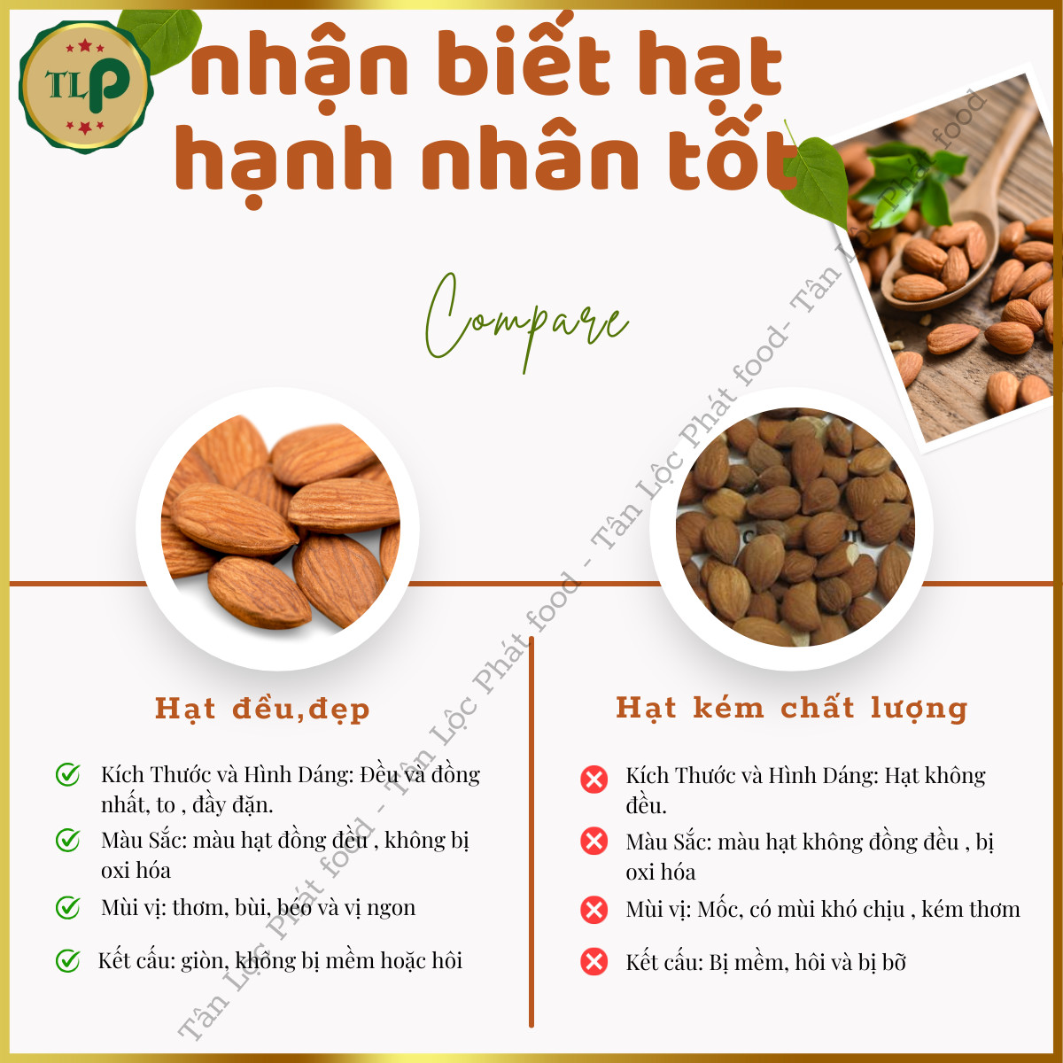 LÕI HẠT HẠNH NHÂN TÂN LỘC PHÁT HŨ 500G