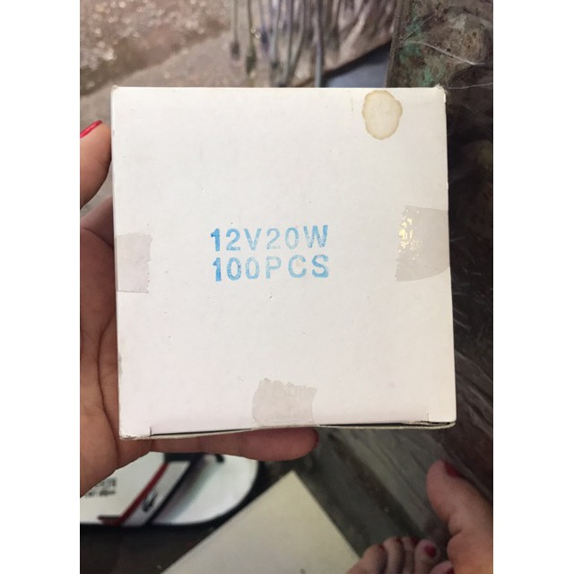 HOT-Bóng sợi đốt 12v 20w