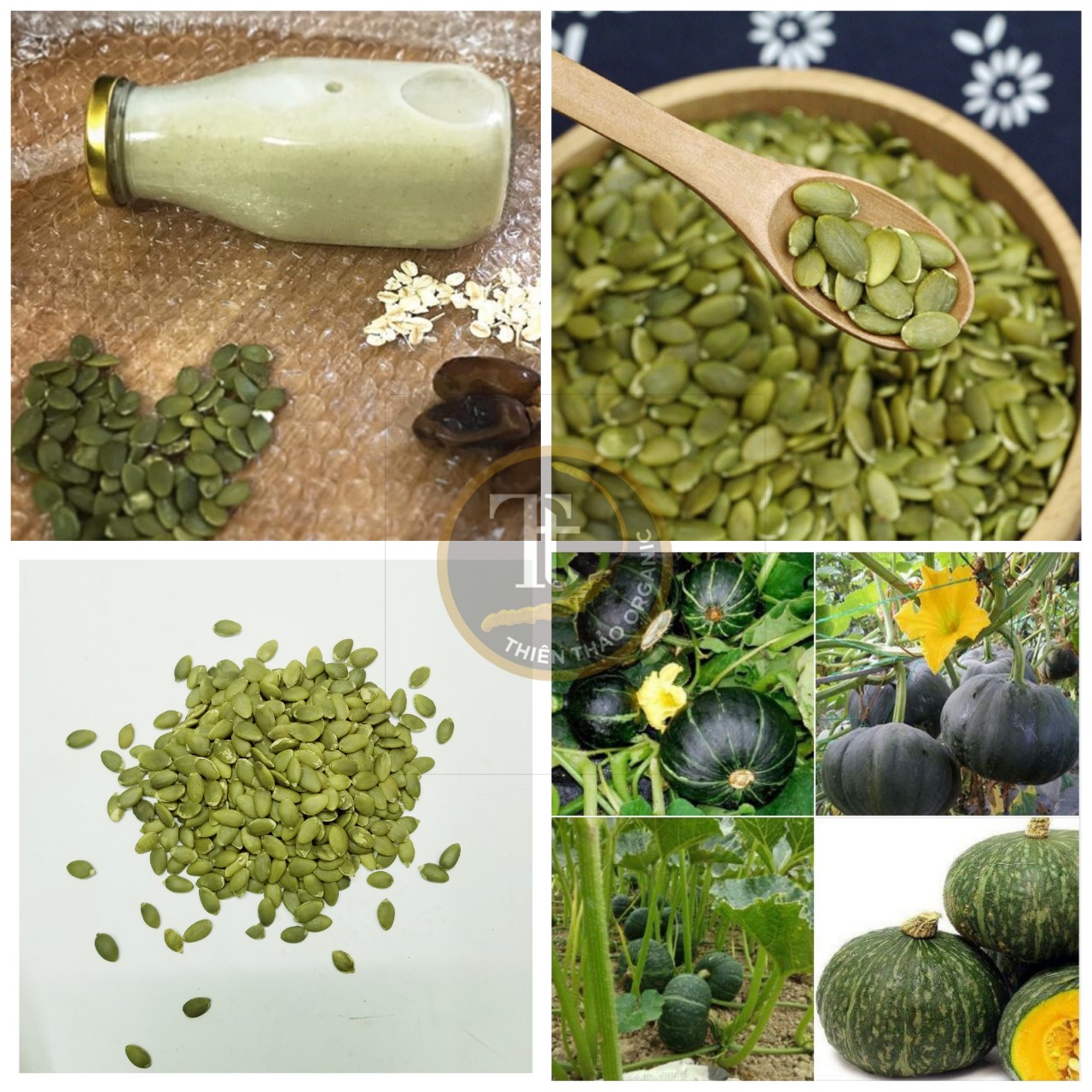 500gr hạt bí nhân đã tách vỏ đã rang chín ăn ngay thiên thảo organic
